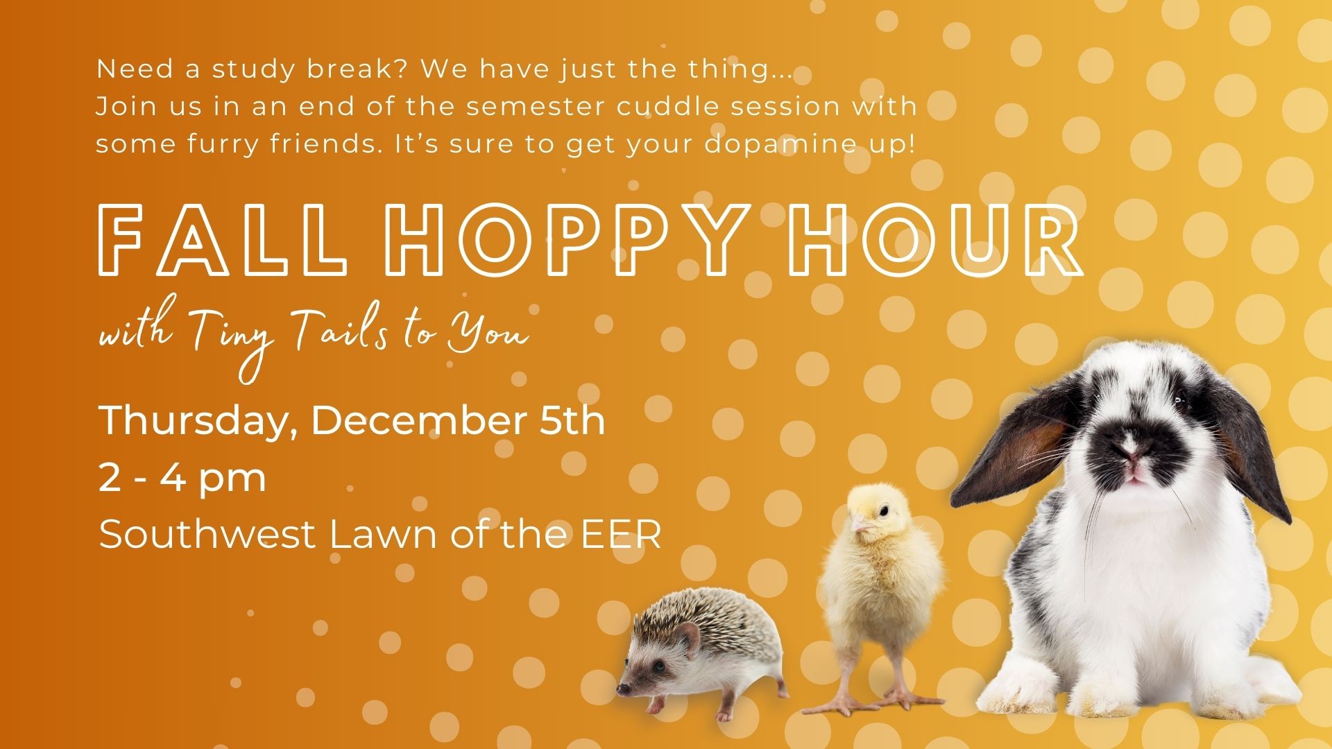 hoppy hour Presentation 1