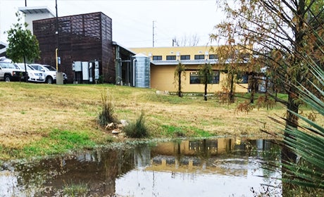 Twin Oaks Library, Austin, TX