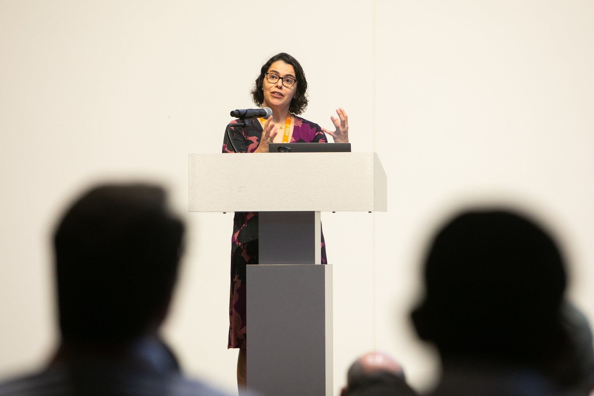 Texas CAEE faculty member Fernanda Liete presenting at podium