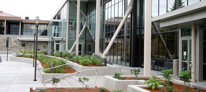 Portrait of Stacy J. Bartoletti