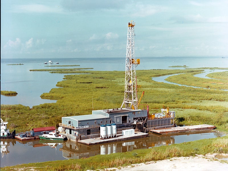 Portrait of Sara N. Ortwein