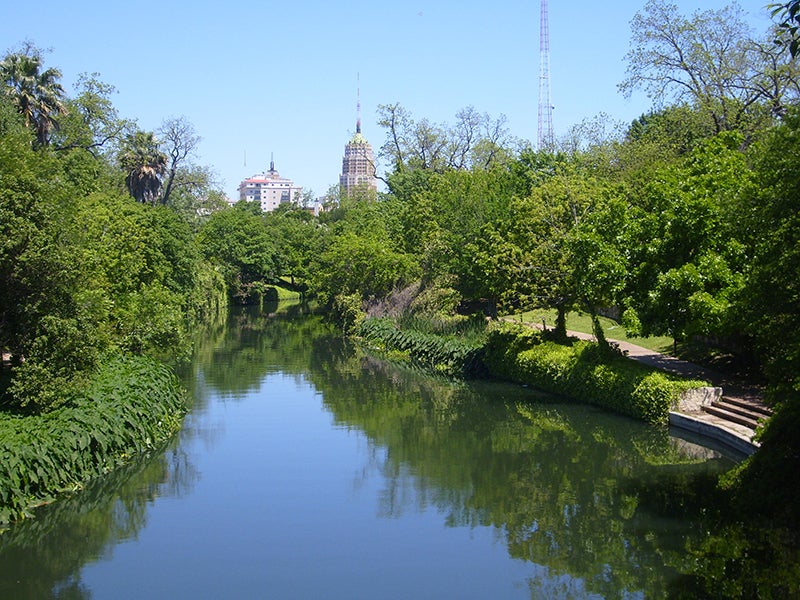 Portrait of Fred N. Pfeiffer